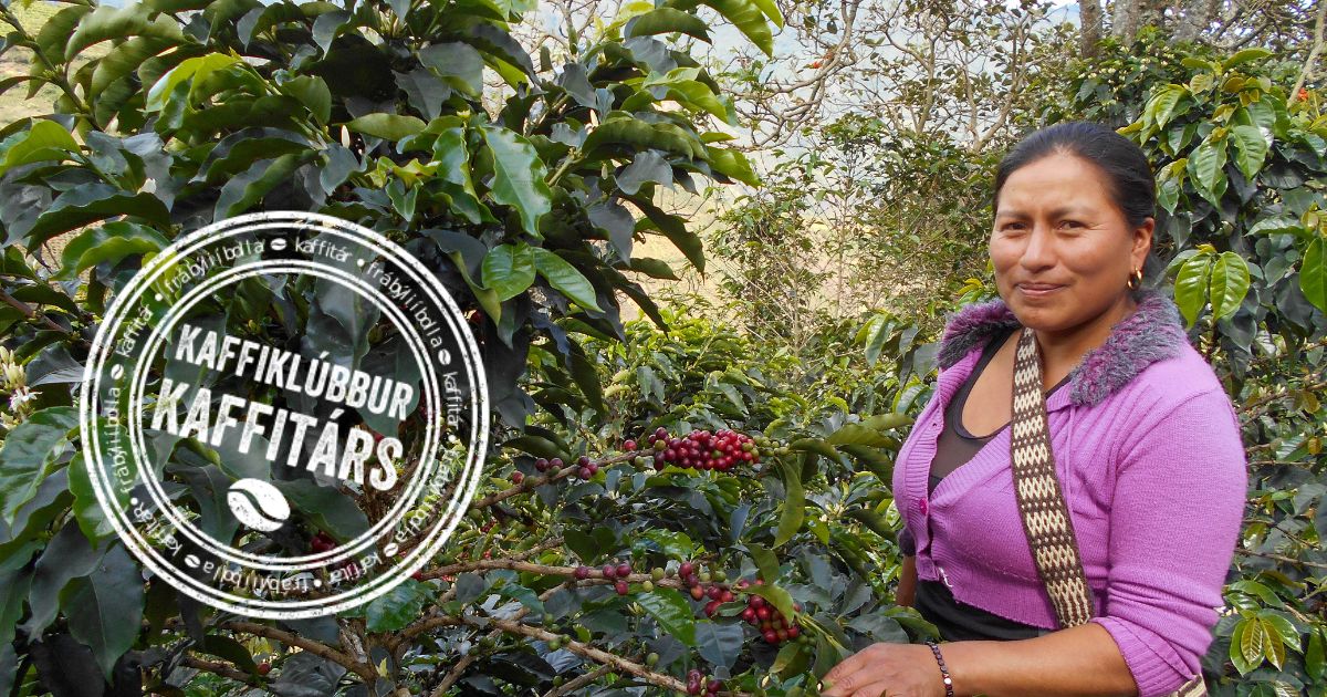 KAFFIKLÚBBUR KAFFITÁRS Í MARS – Kaffitár